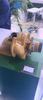 Cummins QSK23 Komatsu 6D170 Water Pump Original Quality 4097082 4095432 4396372 for Excavators 